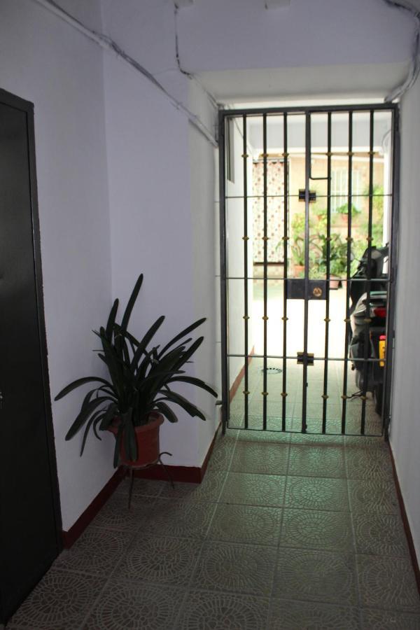 Teja Arcos de la Frontera